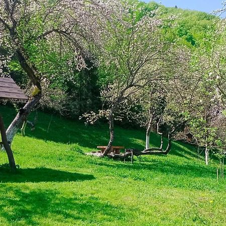 Під Горою Βίλα Sheshory Εξωτερικό φωτογραφία